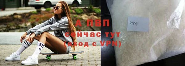 прущие грибы Нестеровская