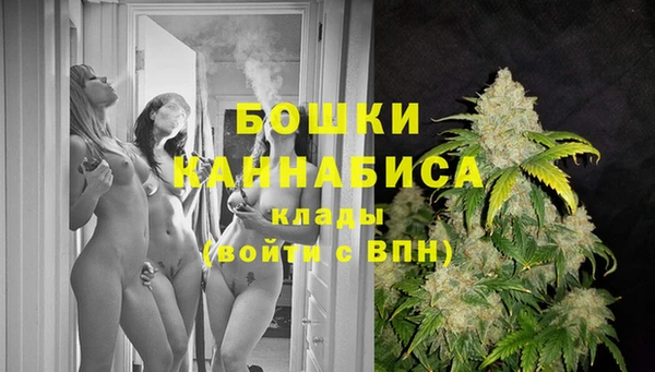 дживик Ессентукская