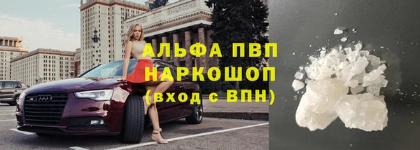 прущие грибы Нестеровская