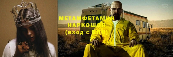 прущие грибы Нестеровская