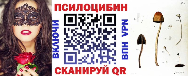 Купить где  Приморско-Ахтарск  Псилоцибиновые грибы ЛСД 